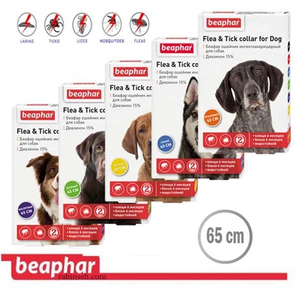 بیفار قلاده_2.jpg